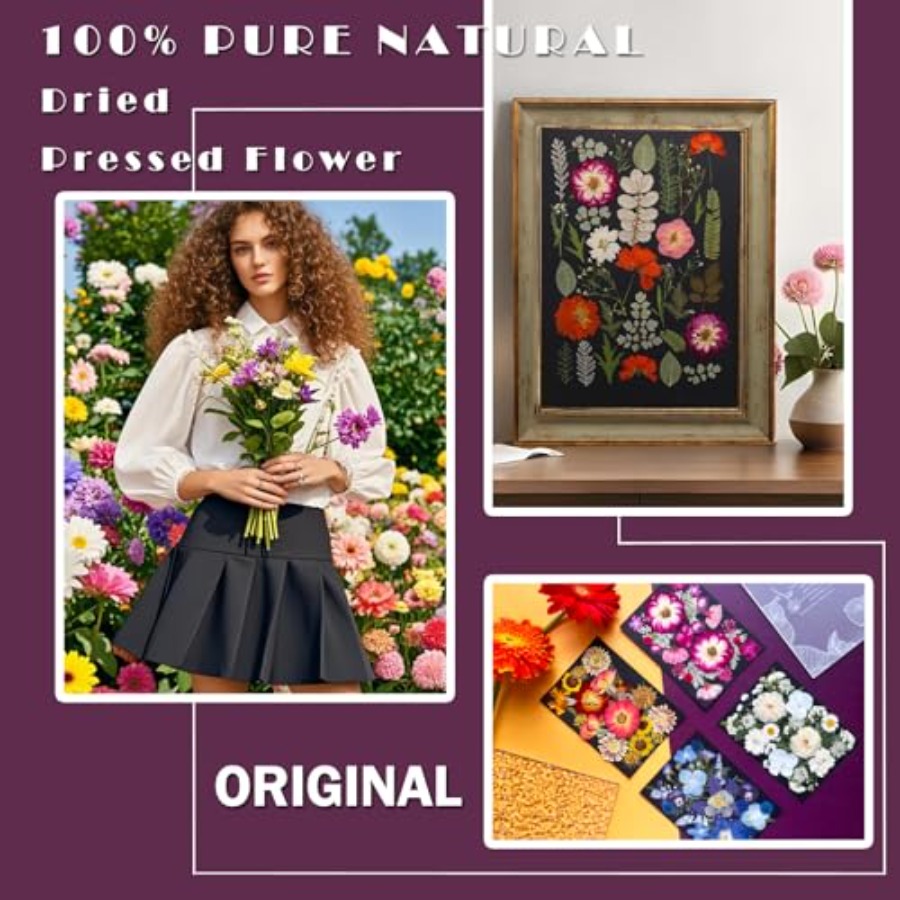 Pressed Dried Flowers for Resi - Dried Flower Bulk のレビューと価格