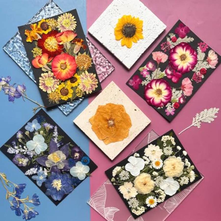 Pressed Dried Flowers for Resi - Dried Flower Bulk のレビューと価格