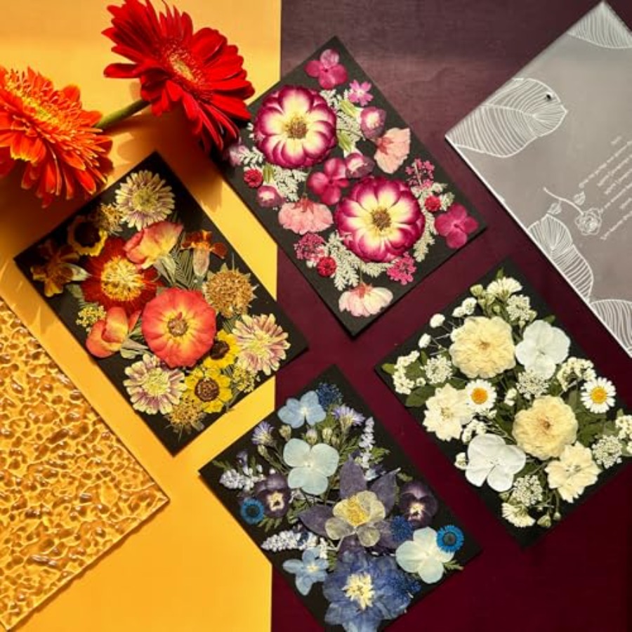 Pressed Dried Flowers for Resi - Dried Flower Bulk のレビューと価格
