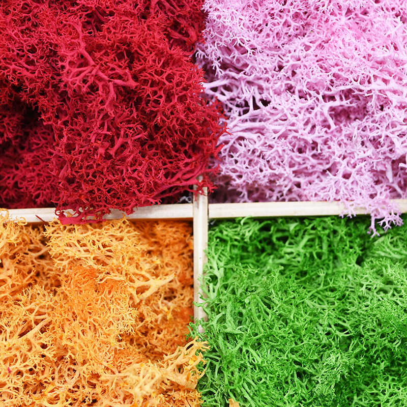 20/40g Artificial Green Plants - Terrarium Moss Art のレビューと価格
