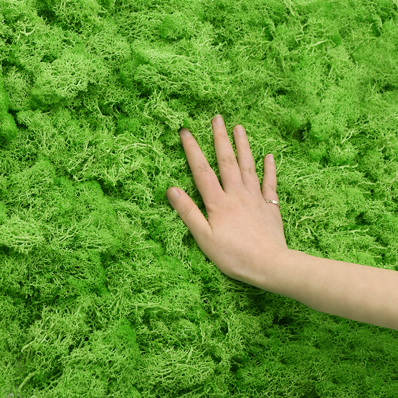 20/40g Artificial Green Plants - Terrarium Moss Art のレビューと価格
