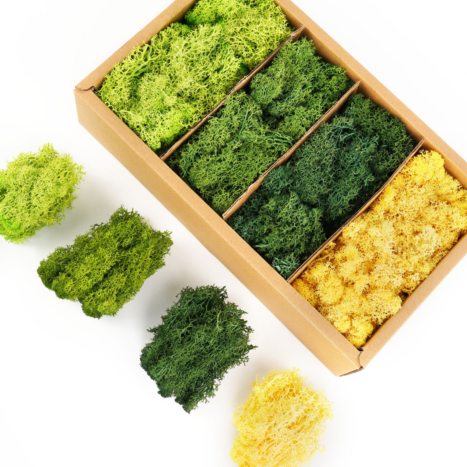 Artificial Green Plants Eterna - Terrarium Moss Art のレビューと価格