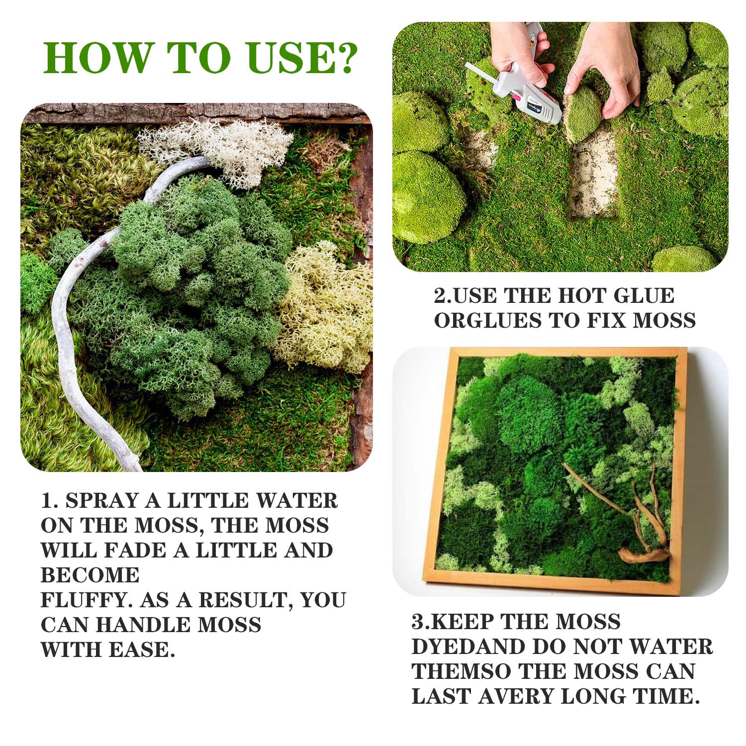 Artificial Green Plants Eterna - Terrarium Moss Art のレビューと価格