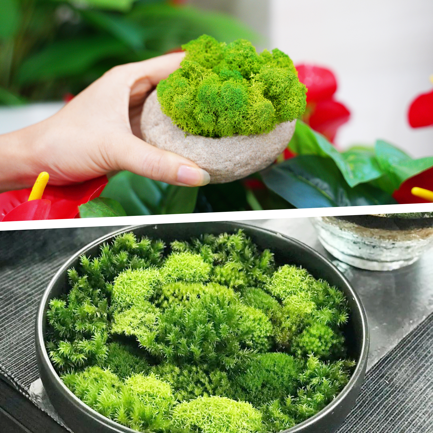 Artificial Green Plants Eterna - Terrarium Moss Art のレビューと価格
