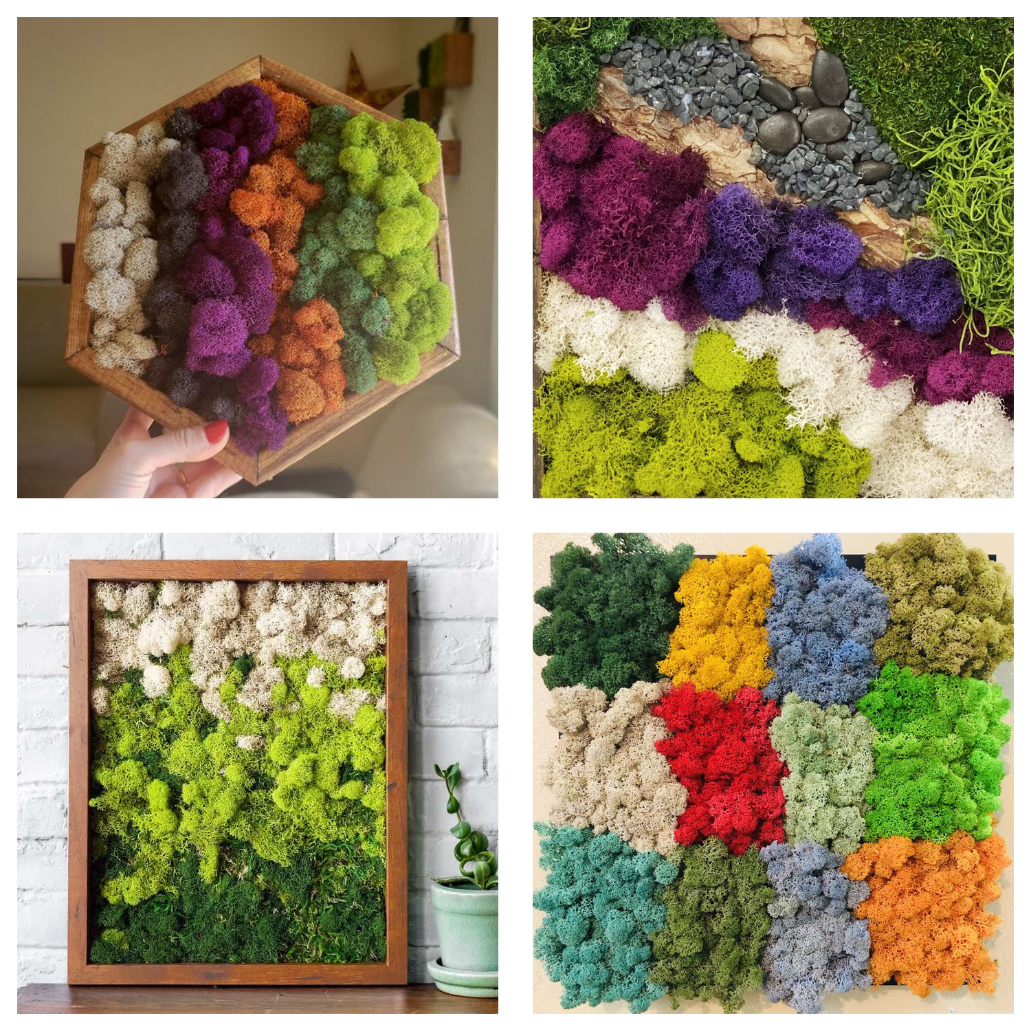 Artificial Green Plants Eterna - Terrarium Moss Art のレビューと価格