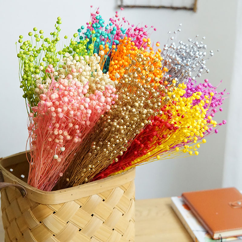 35g/Preserved Ormosia Hosiei N - Dried Flower Bulk のレビューと価格