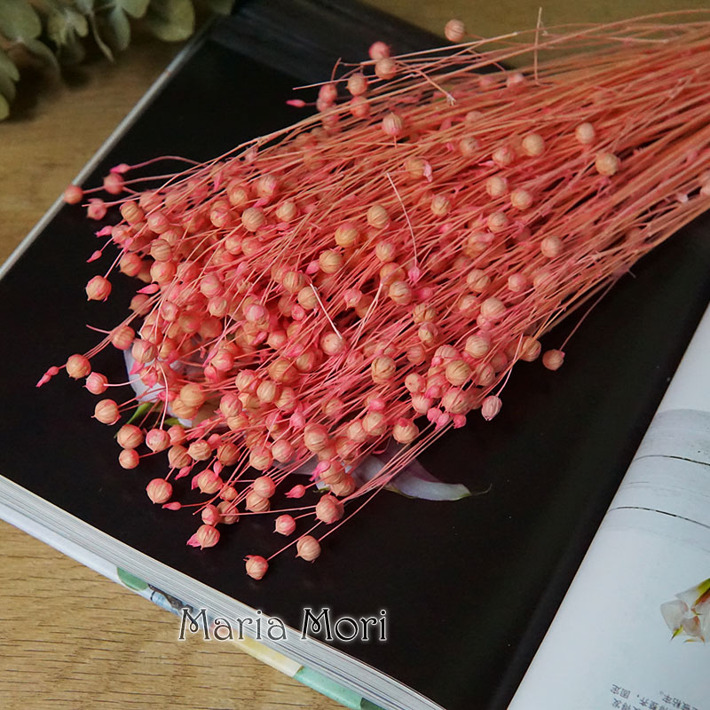 35g/Preserved Ormosia Hosiei N - Dried Flower Bulk のレビューと価格