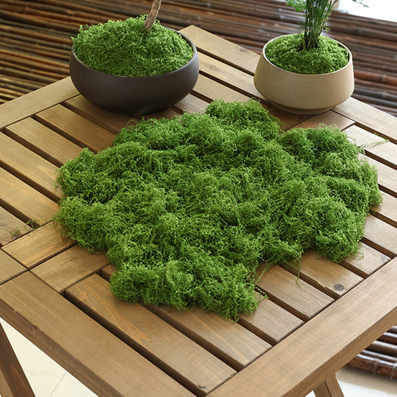 about 20g Artificial Green Pla - Terrarium Moss Art のレビューと価格