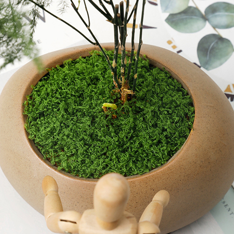 about 20g Artificial Green Pla - Terrarium Moss Art のレビューと価格