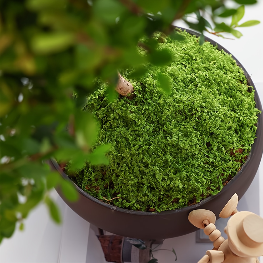 1pack Artificial Fake Moss, 1. - Terrarium Moss Art のレビューと価格