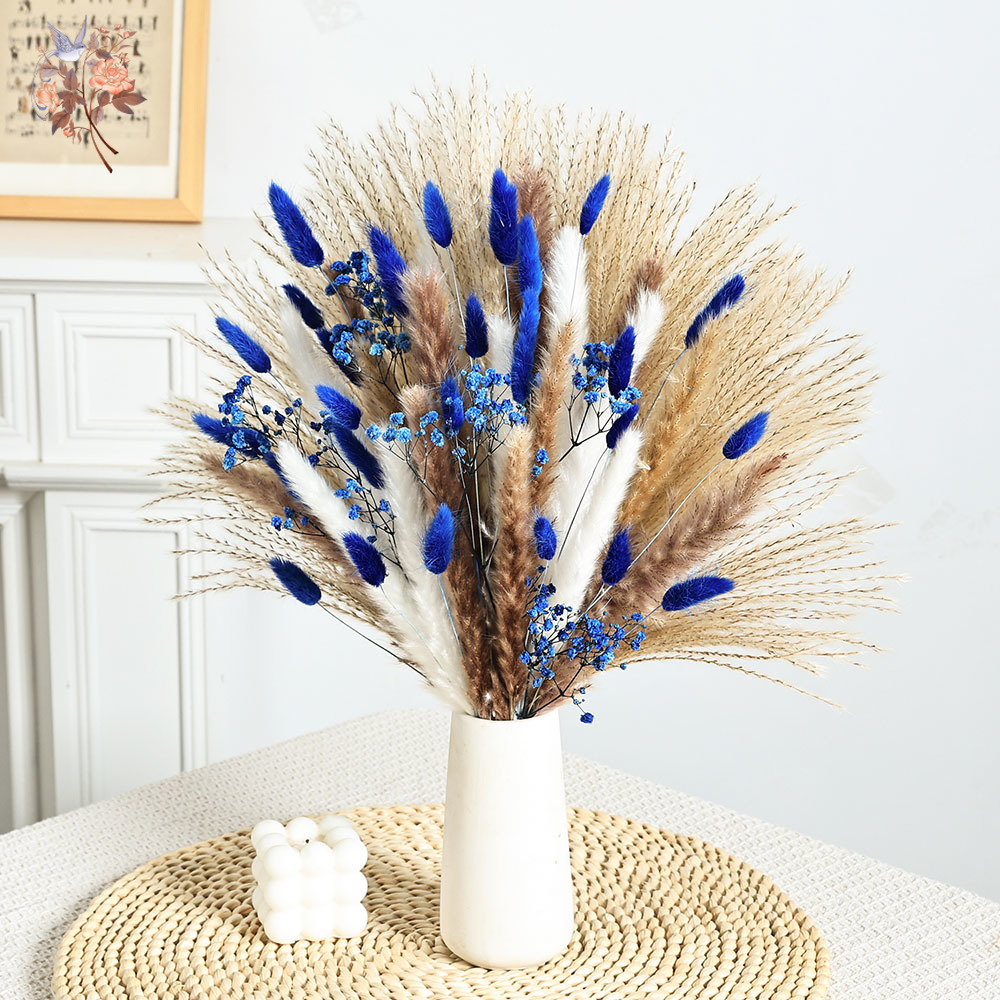 70 Stem Blue Fluffly Rabbit Ta - Dried Flower Bulk のレビューと価格