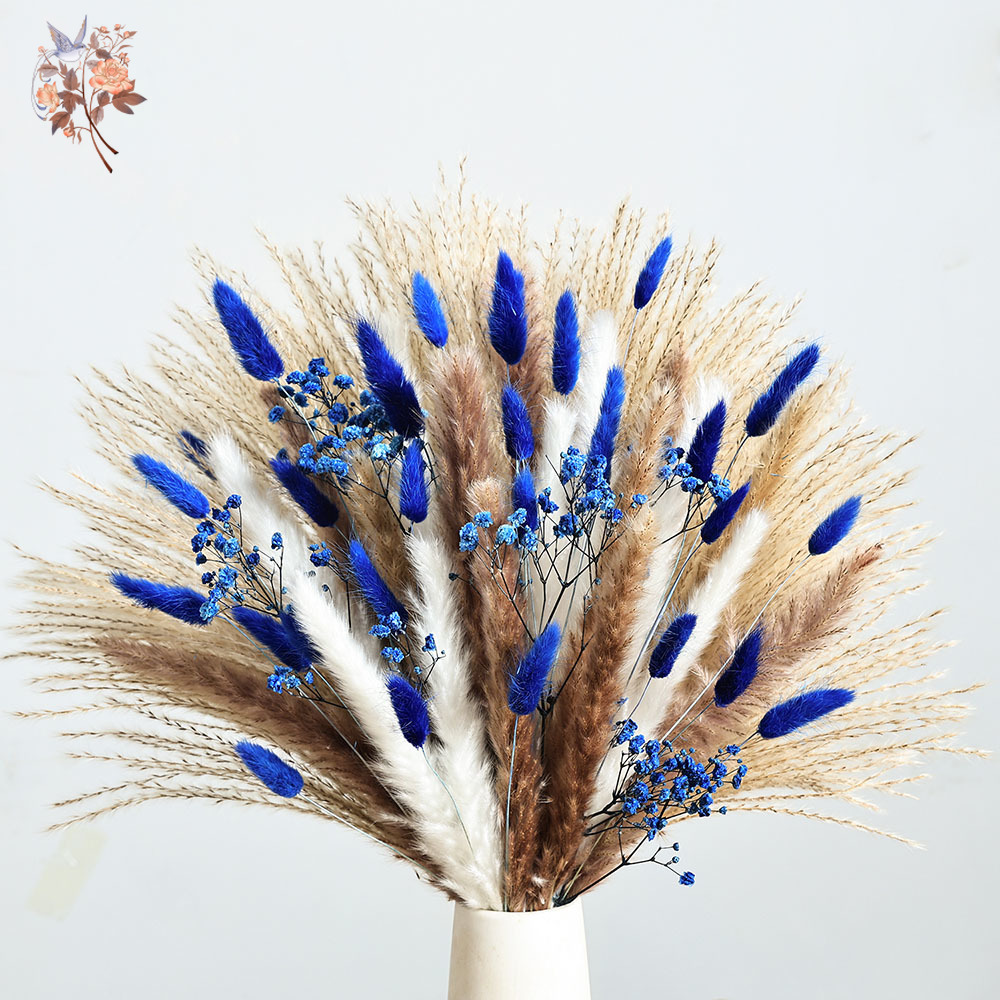 70 Stem Blue Fluffly Rabbit Ta - Dried Flower Bulk のレビューと価格