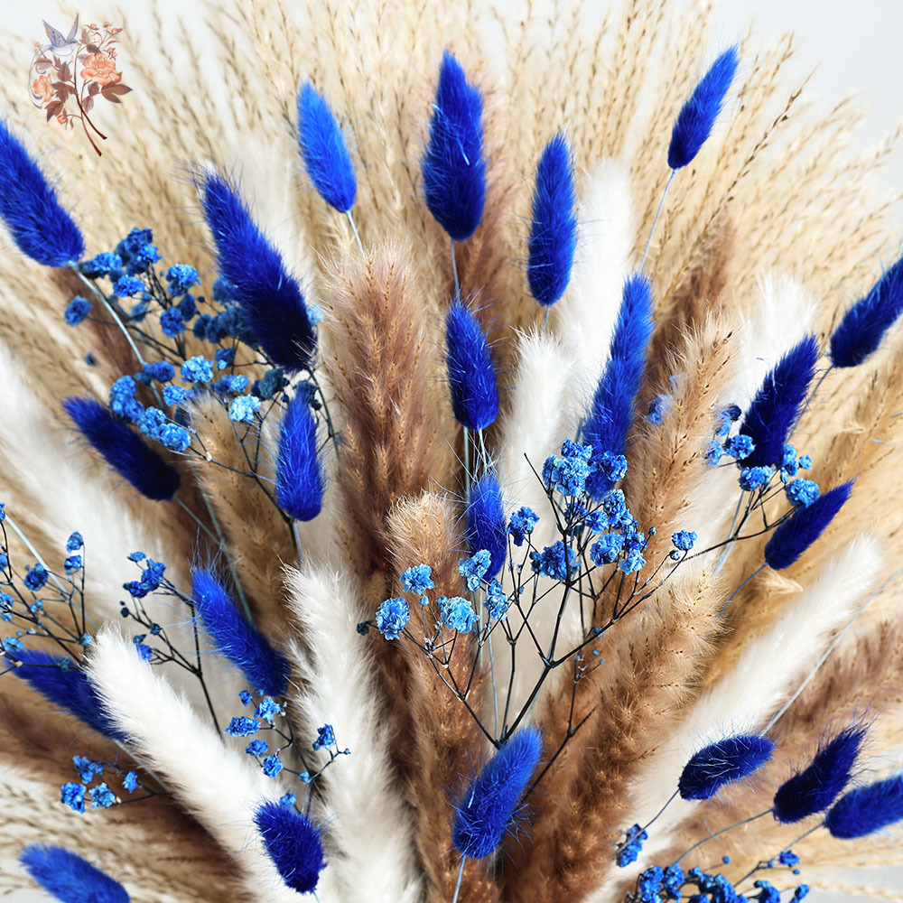 70 Stem Blue Fluffly Rabbit Ta - Dried Flower Bulk のレビューと価格