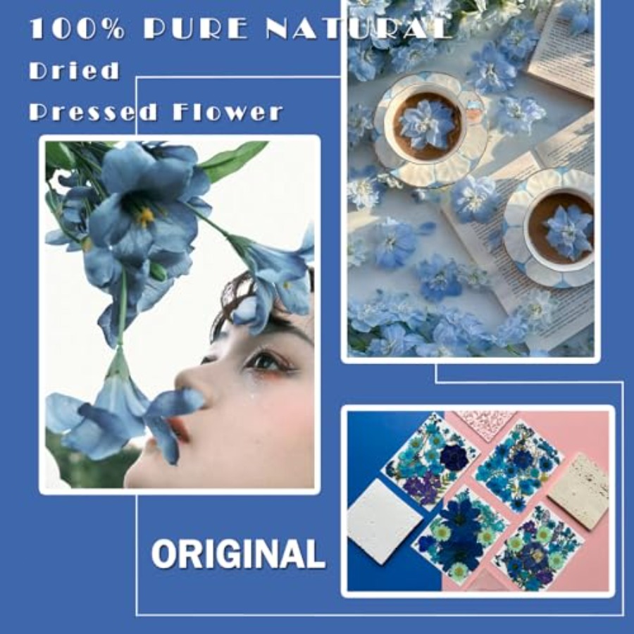 94Pcs Dried Pressed Flowers fo - Dried Flower Bulk のレビューと価格