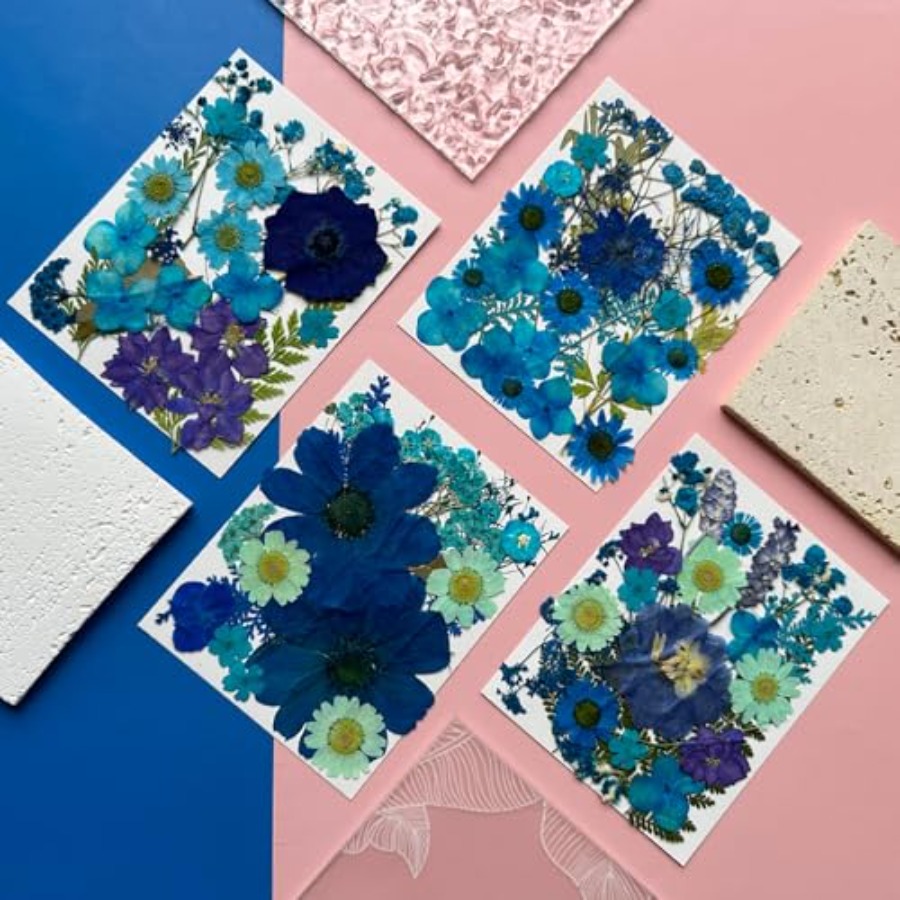 94Pcs Dried Pressed Flowers fo - Dried Flower Bulk のレビューと価格