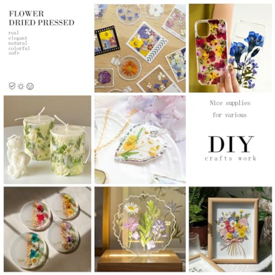 94Pcs Dried Pressed Flowers fo - Dried Flower Bulk のレビューと価格