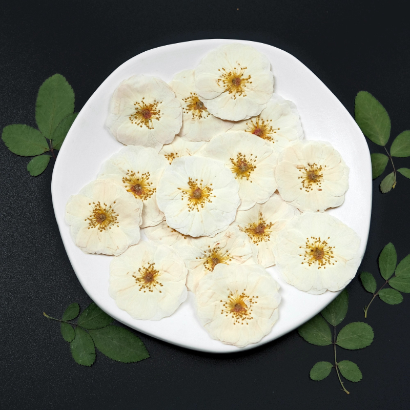6pcs,9pcs,Nature White Rose Pr - Dried Flower Bulk のレビューと価格