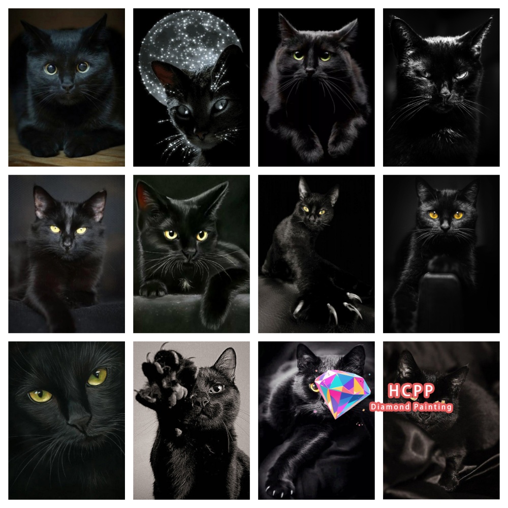 unframe Black Cat Animal Diamo - Resin Craft Kit のレビューと価格