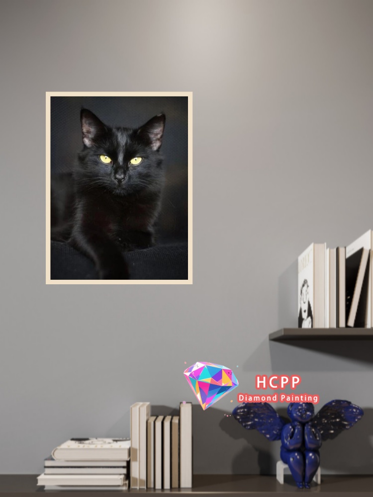 unframe Black Cat Animal Diamo - Resin Craft Kit のレビューと価格