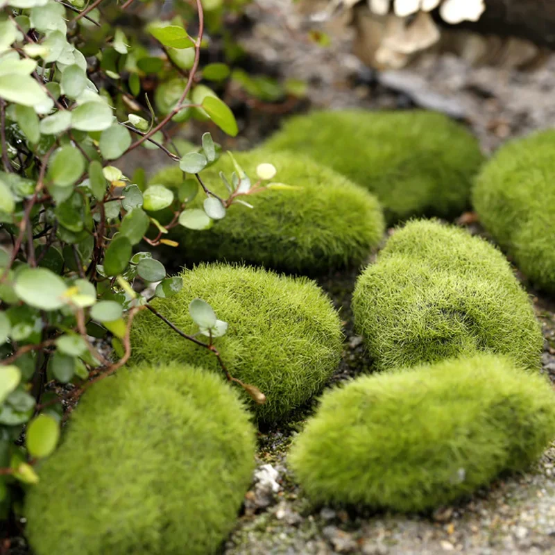 Fake Stone Artificial Moss Roc - Terrarium Moss Art のレビューと価格