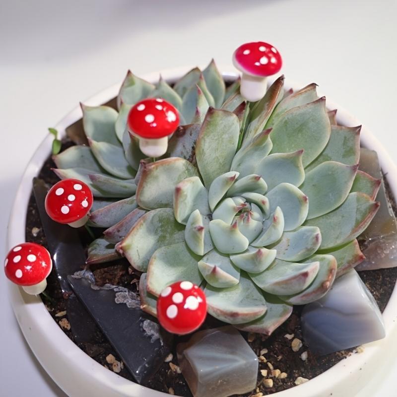 10-80PCS Mini Color Mushroom D - Terrarium Moss Art のレビューと価格