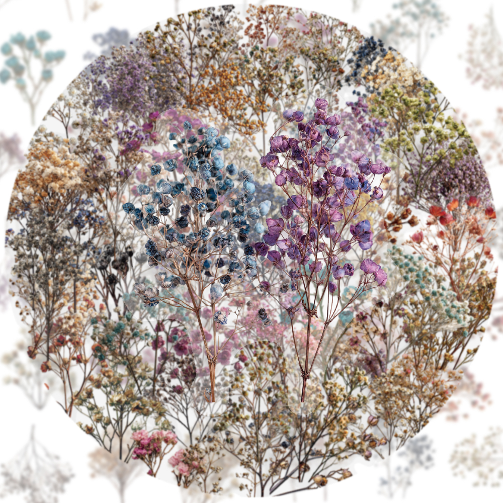 50PCS Retro Color Dried Flower - Dried Flower Bulk のレビューと価格