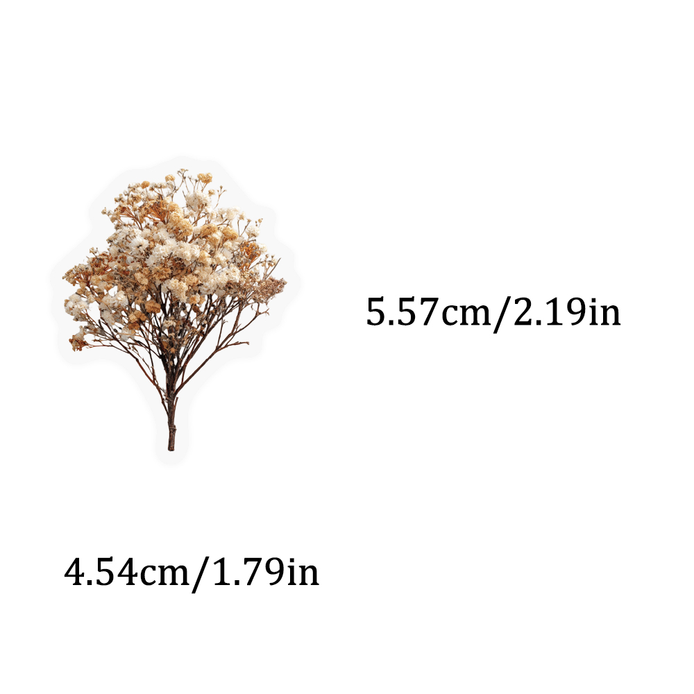 50PCS Retro Color Dried Flower - Dried Flower Bulk のレビューと価格