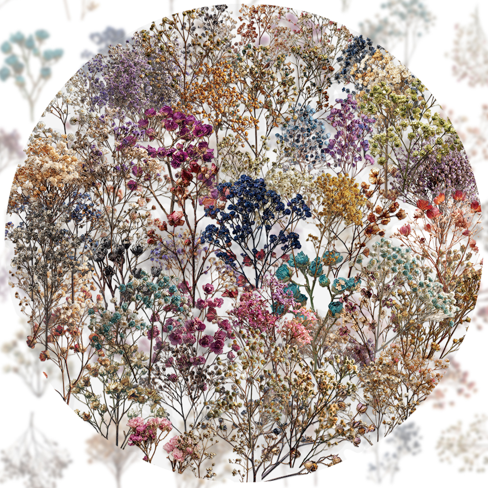 50PCS Retro Color Dried Flower - Dried Flower Bulk のレビューと価格