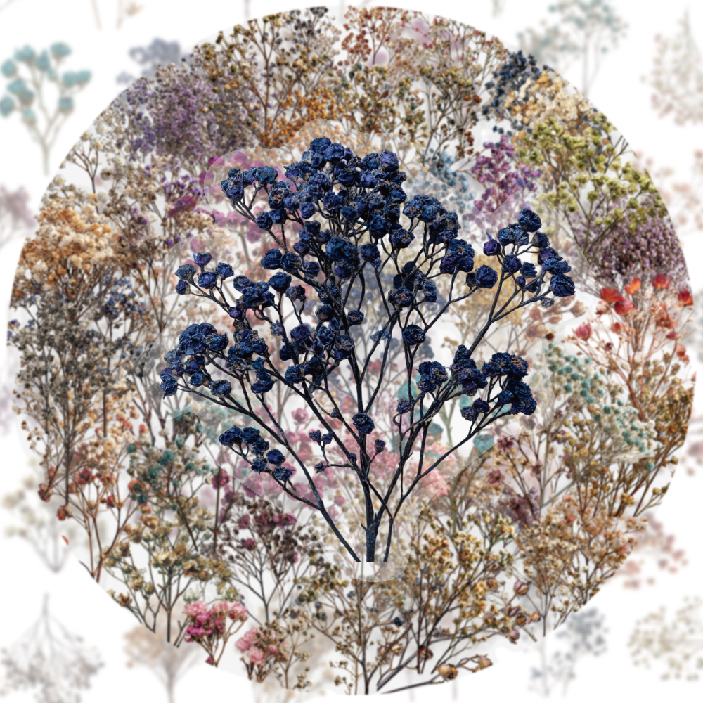 50PCS Retro Color Dried Flower - Dried Flower Bulk のレビューと価格