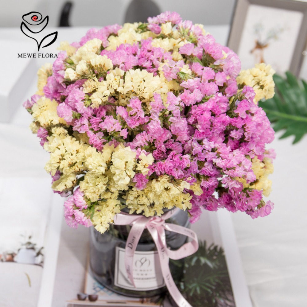 100g Dried Forget Me Not Flowe - Dried Flower Bulk のレビューと価格