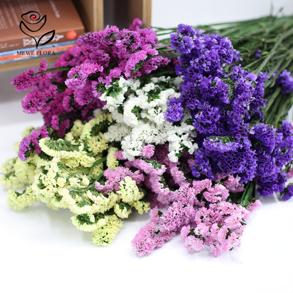 100g Dried Forget Me Not Flowe - Dried Flower Bulk のレビューと価格