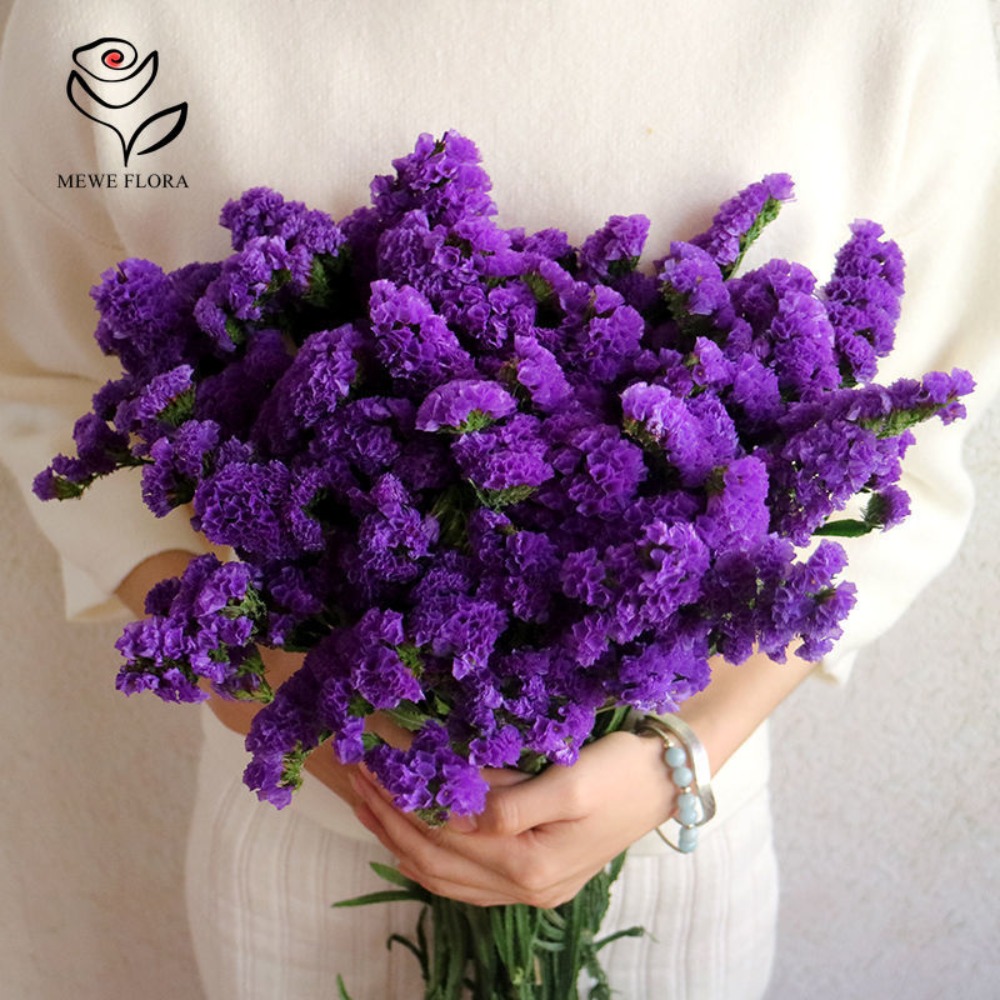 100g Dried Forget Me Not Flowe - Dried Flower Bulk のレビューと価格