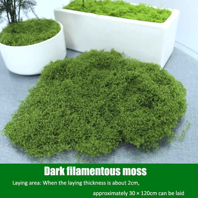 Artificial simulation of moss  - Terrarium Moss Art のレビューと価格