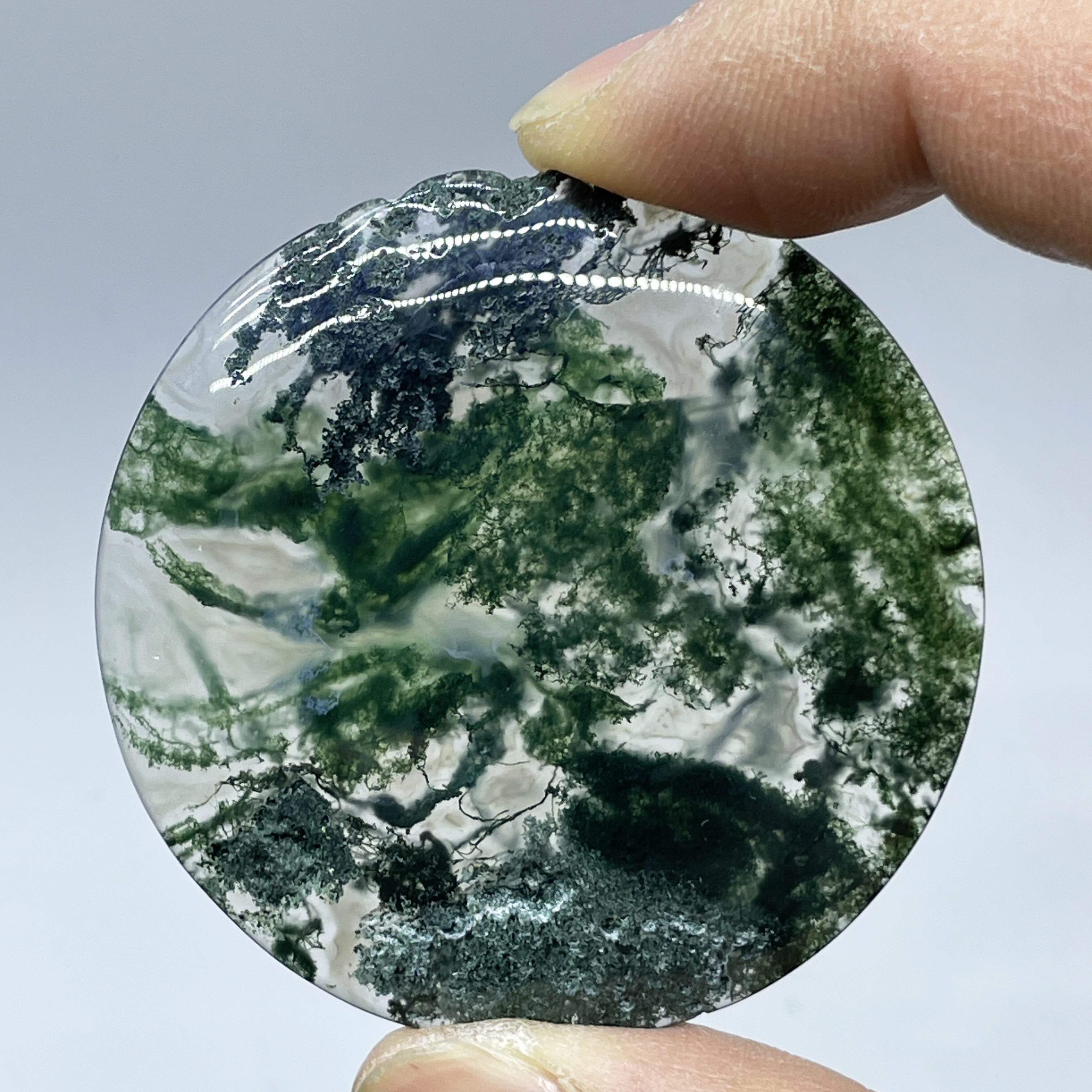 Natural Crystal Moss Agate Wat - Terrarium Moss Art のレビューと価格