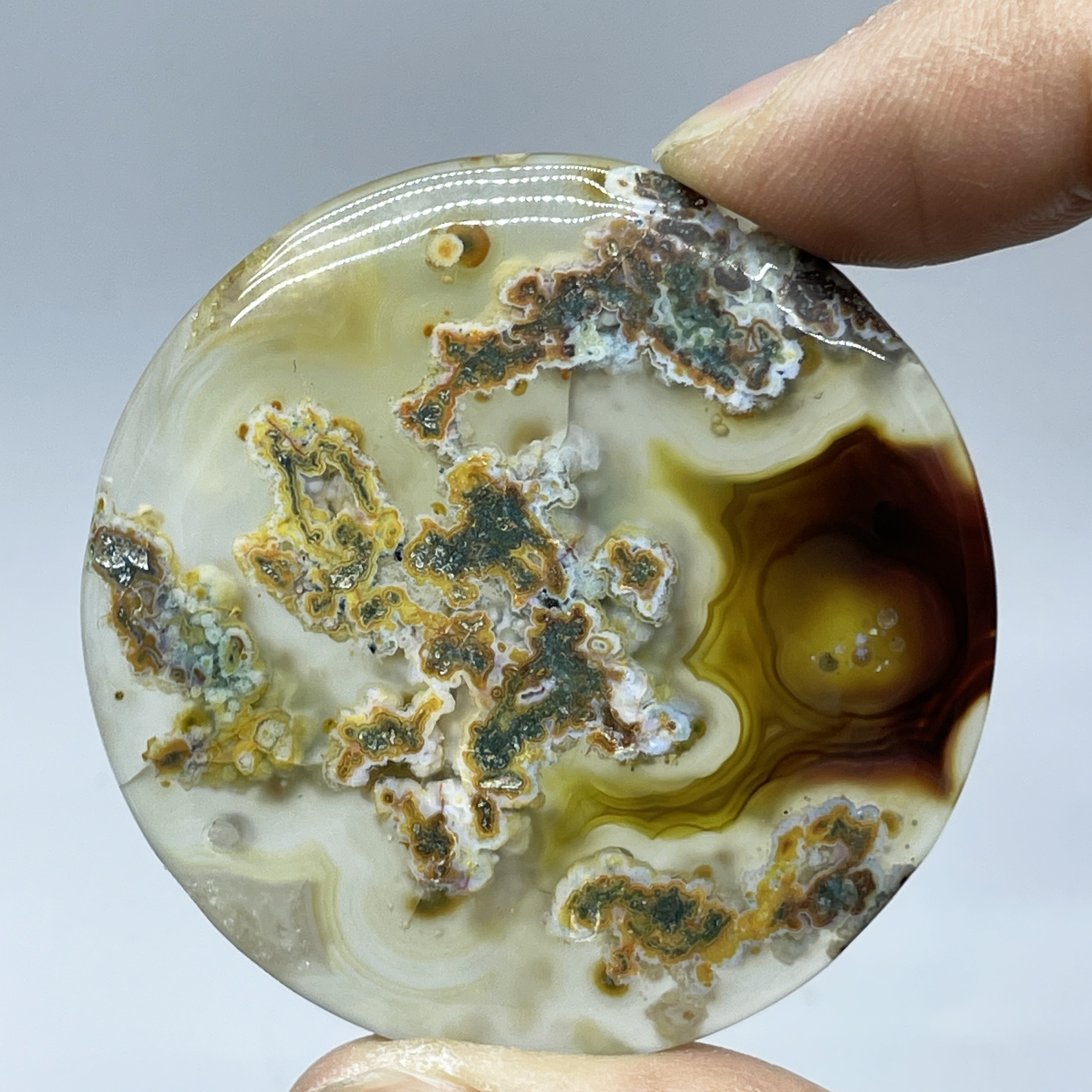 Natural Crystal Moss Agate Wat - Terrarium Moss Art のレビューと価格
