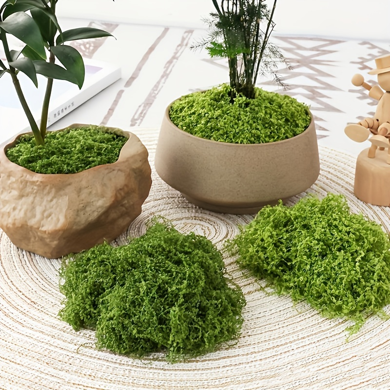 30/50/100g Fake Green Moss Art - Terrarium Moss Art のレビューと価格