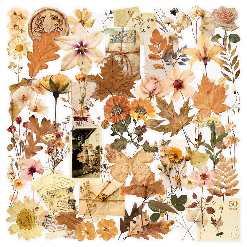 10/30/50pcs Transparent Dried  - Dried Flower Bulk のレビューと価格