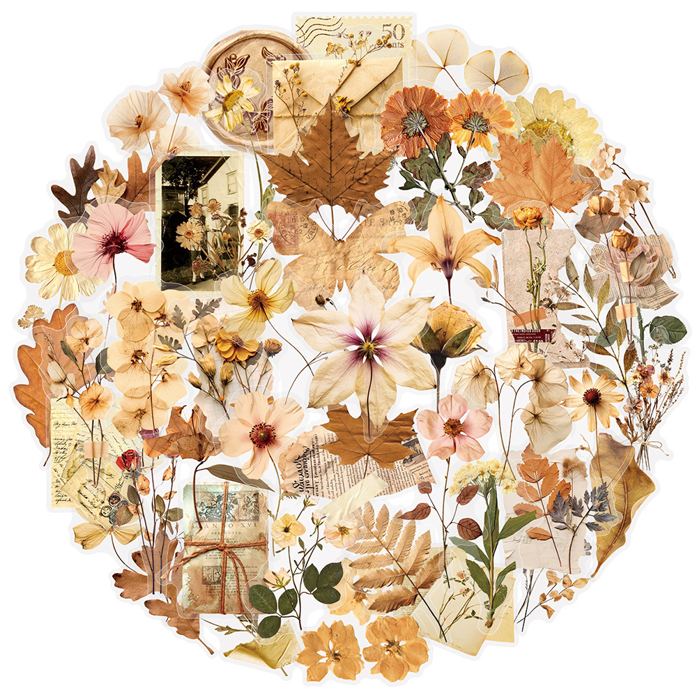 10/30/50pcs Transparent Dried  - Dried Flower Bulk のレビューと価格
