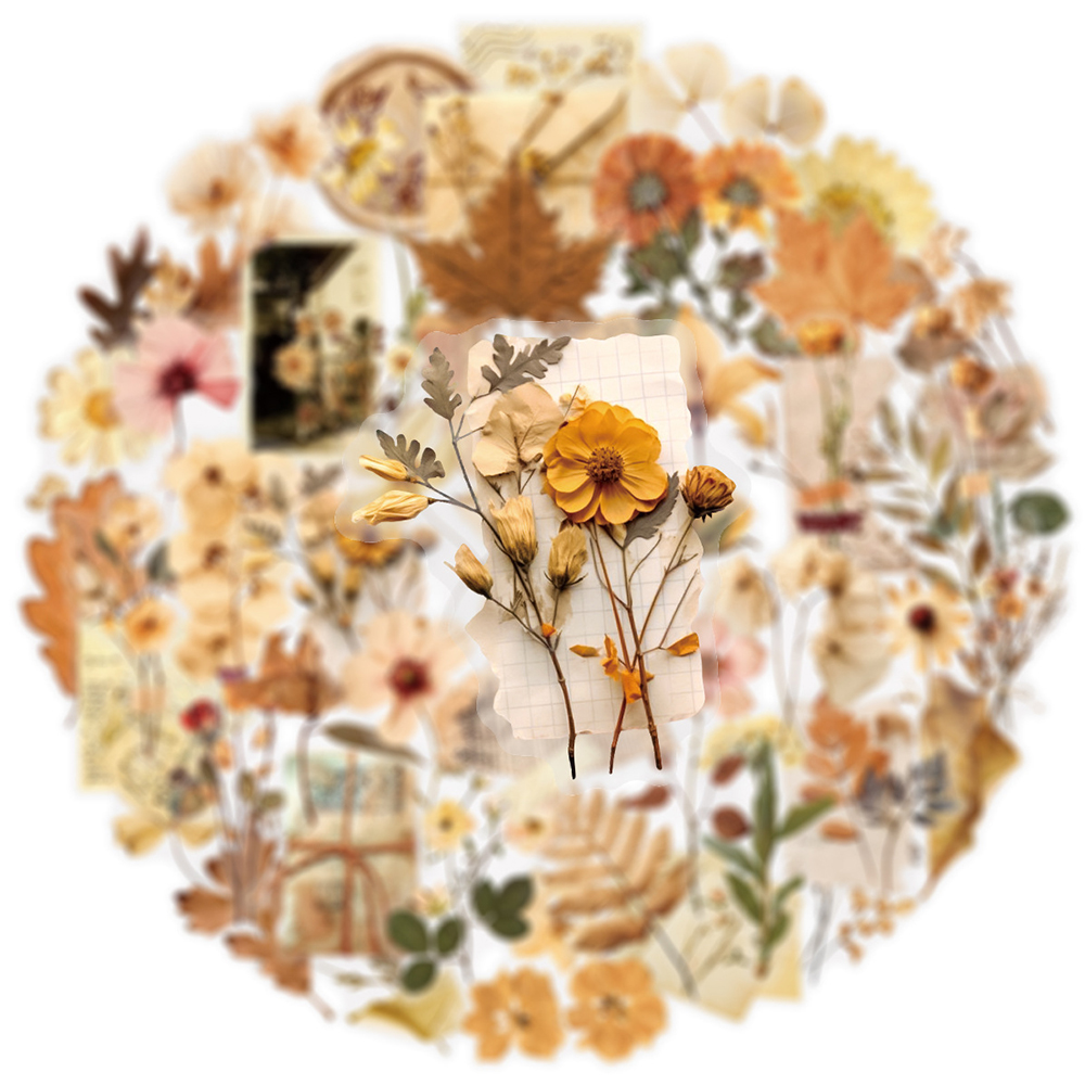 10/30/50pcs Transparent Dried  - Dried Flower Bulk のレビューと価格