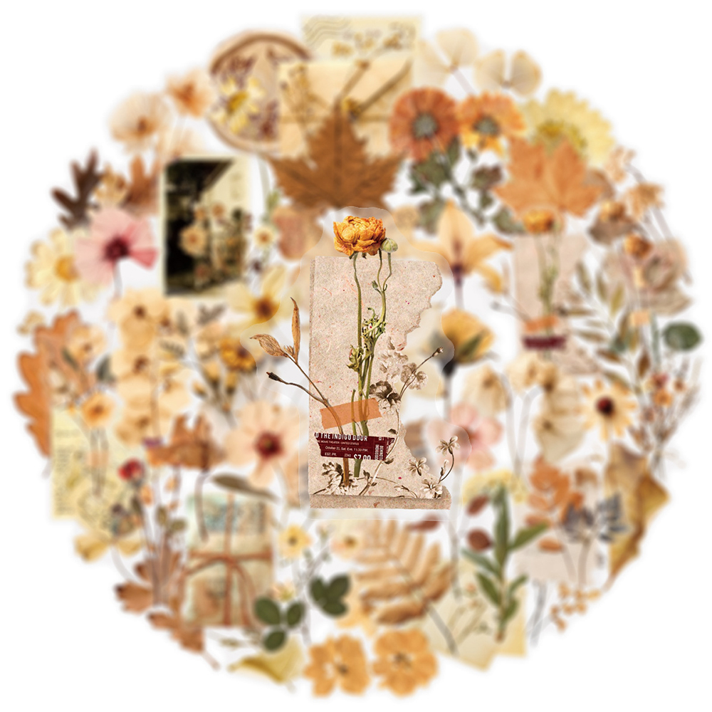 10/30/50pcs Transparent Dried  - Dried Flower Bulk のレビューと価格