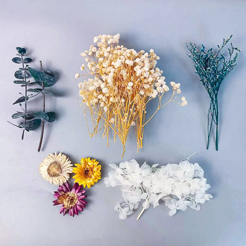 1pack Multifarious Dried Flowe - Dried Flower Bulk のレビューと価格