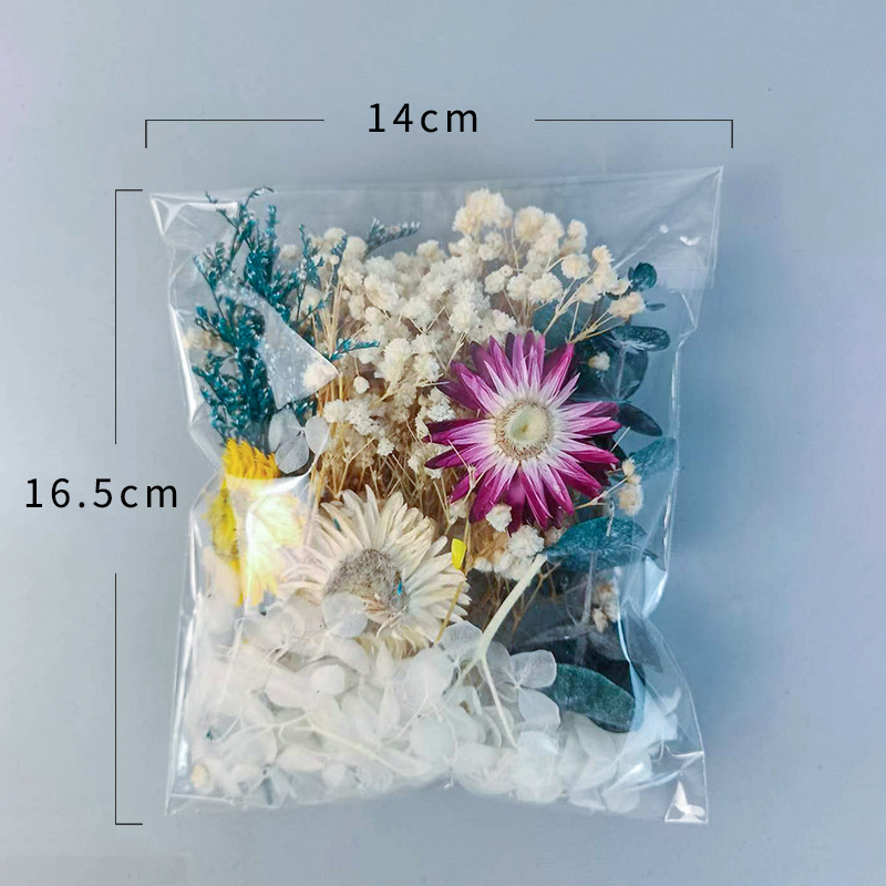 1pack Multifarious Dried Flowe - Dried Flower Bulk のレビューと価格