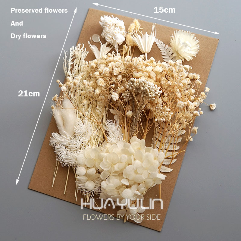 1 Pack Artificial Plants Dried - Flower Preservation Resin のレビューと価格