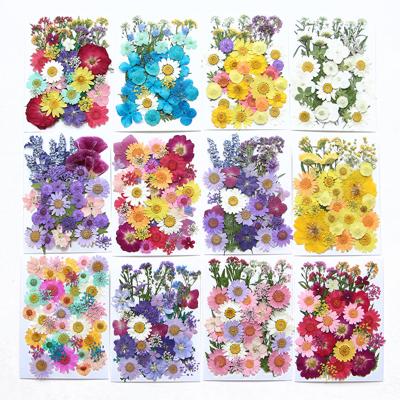 6pcsDried Flowers Real Natural - Flower Preservation Resin のレビューと価格