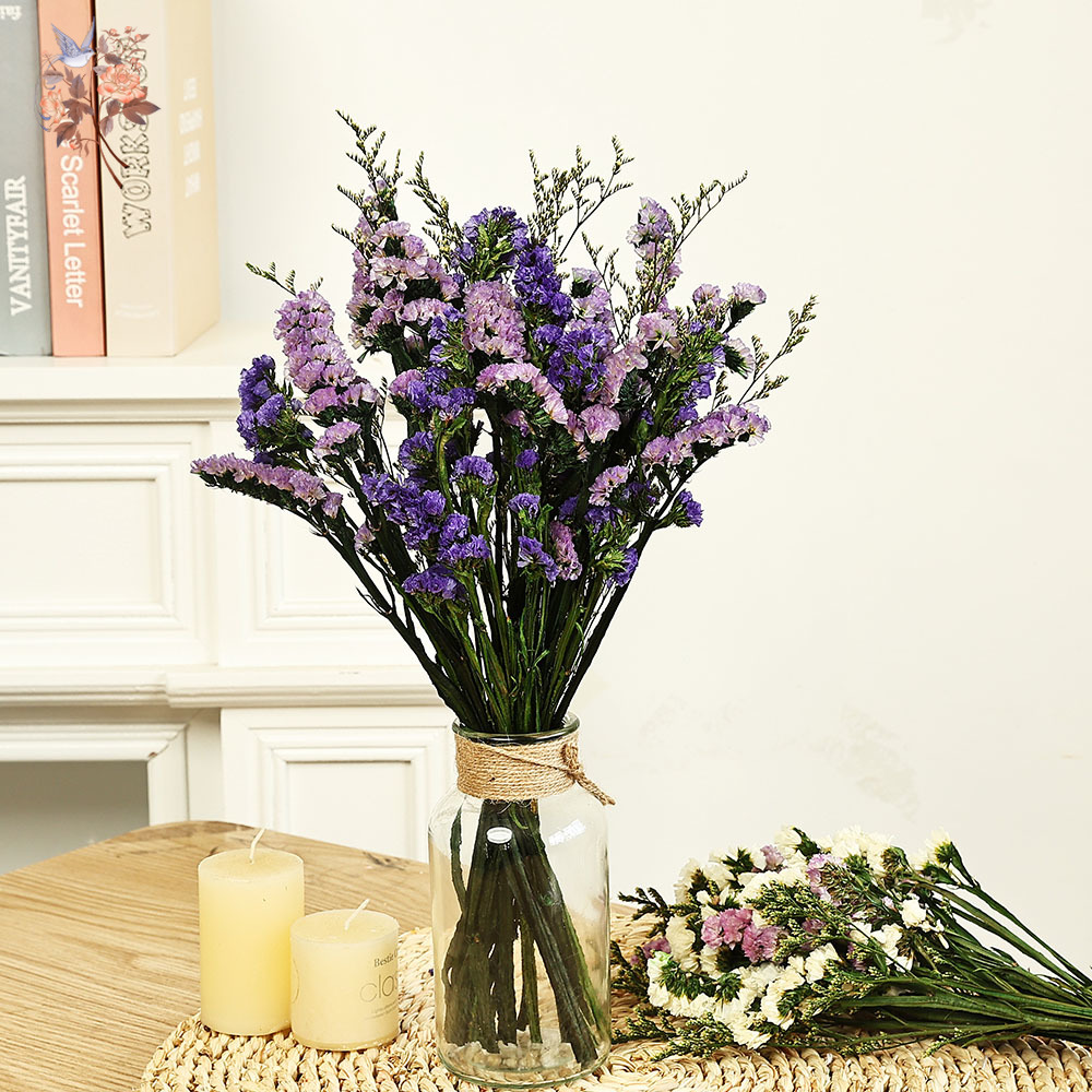 100g Natural Real Forget-me-no - Dried Flower Bulk のレビューと価格