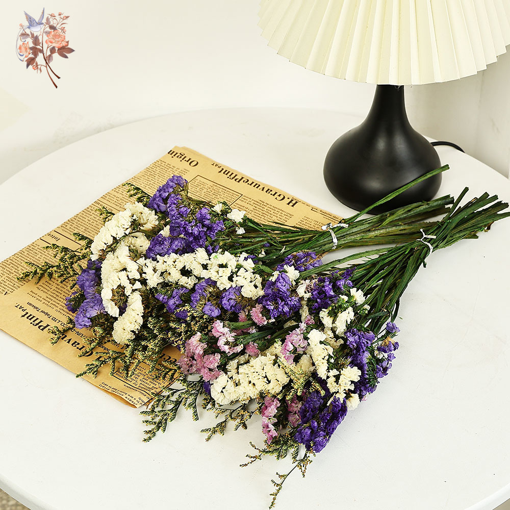 100g Natural Real Forget-me-no - Dried Flower Bulk のレビューと価格