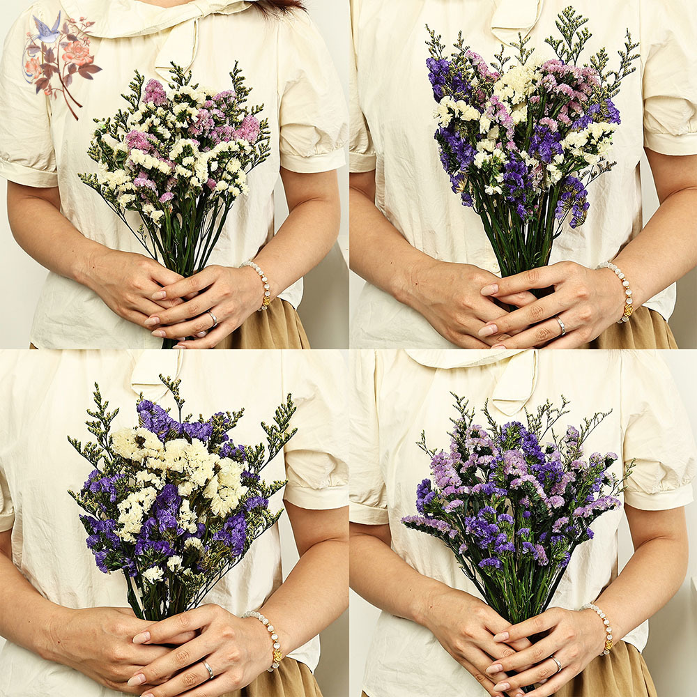 100g Natural Real Forget-me-no - Dried Flower Bulk のレビューと価格