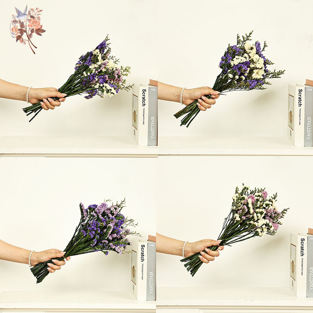 100g Natural Real Forget-me-no - Dried Flower Bulk のレビューと価格