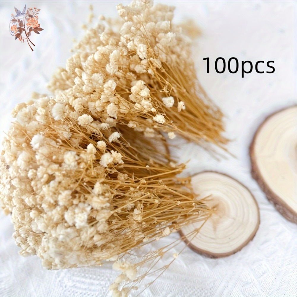 100pcs Mini Dried Baby's Breat - Dried Flower Bulk のレビューと価格
