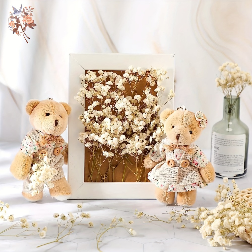 100pcs Mini Dried Baby's Breat - Dried Flower Bulk のレビューと価格